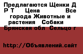 Предлагаются Щенки Д.Р.Т.  › Цена ­ 15 000 - Все города Животные и растения » Собаки   . Брянская обл.,Сельцо г.